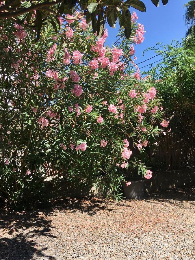 Dans Une Maison, Appartement Independant Et Jardin Perpignan Dış mekan fotoğraf