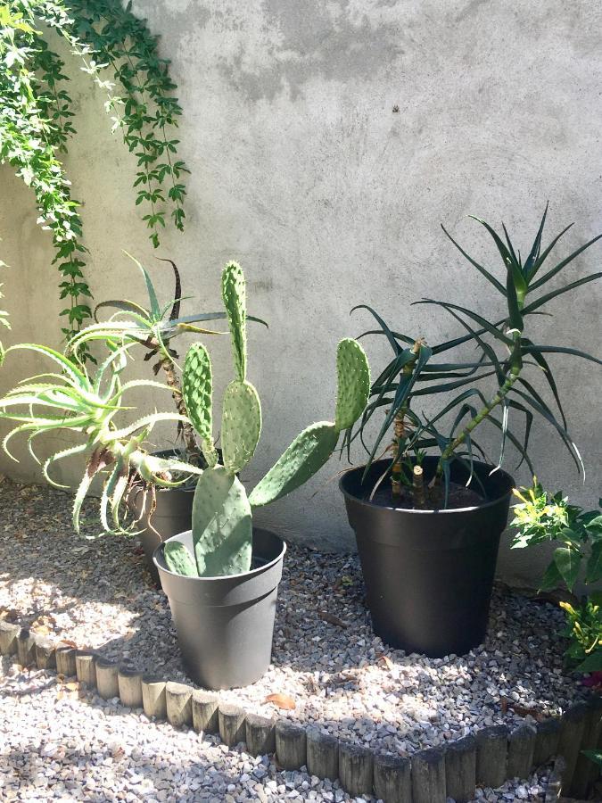 Dans Une Maison, Appartement Independant Et Jardin Perpignan Dış mekan fotoğraf